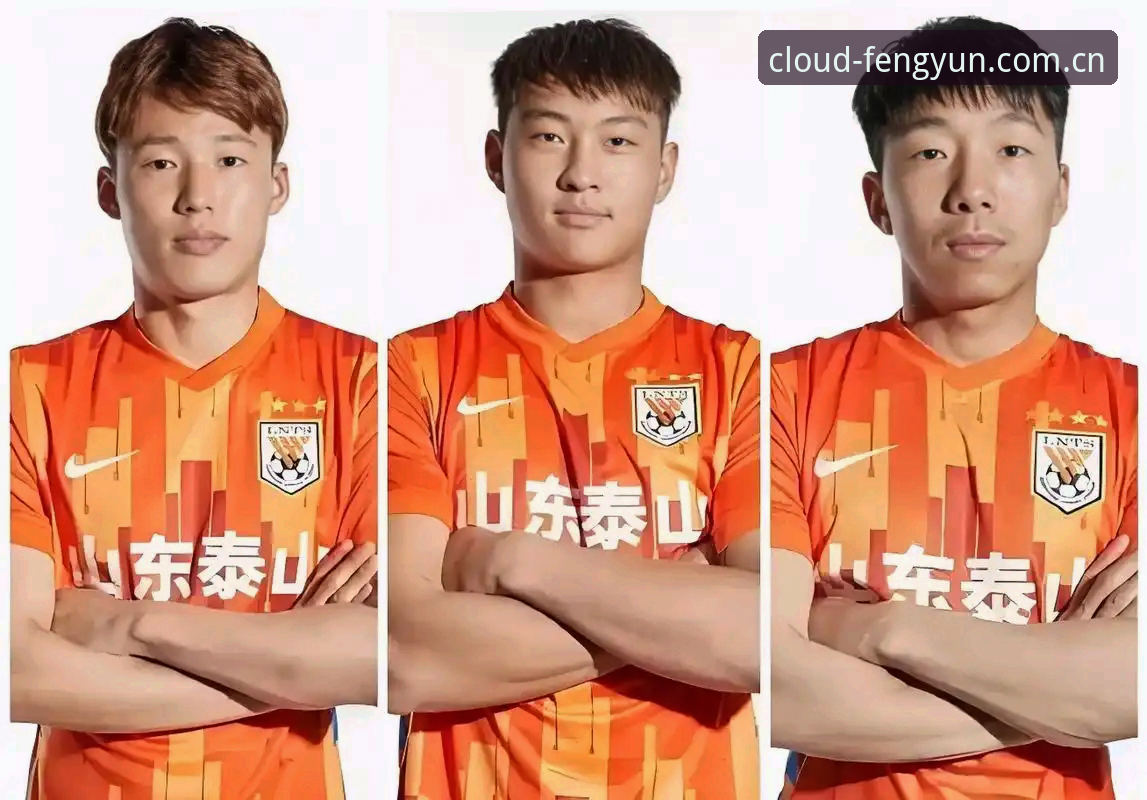 风云体育苹果版 中国足协第三批禁足名单公布,风云体育平台带你深度解读行业震荡